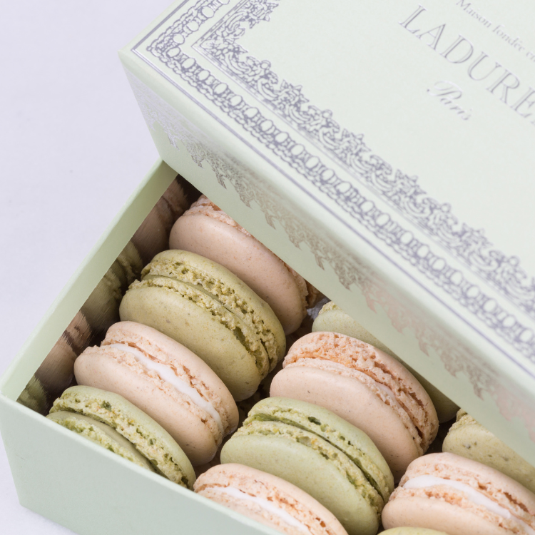 Macaron gift boxes