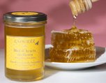 acacia honey 2