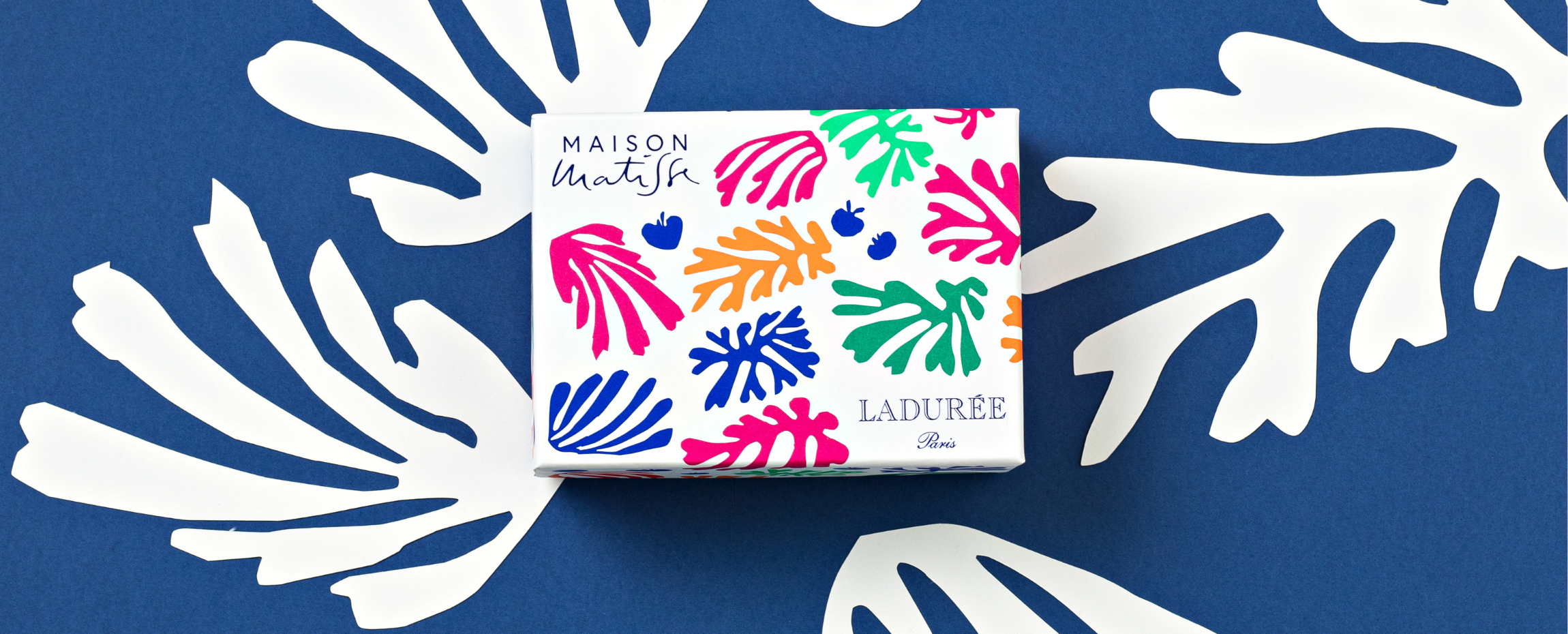 Ladurée x Maison Matisse