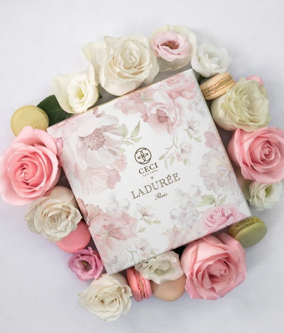 Laduree x Ceci  - Vignette