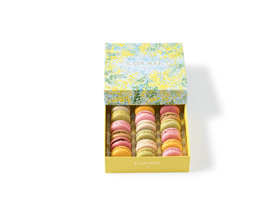 Ladurée Mimosa 18 Macarons Spring Box | Limited Edition for
