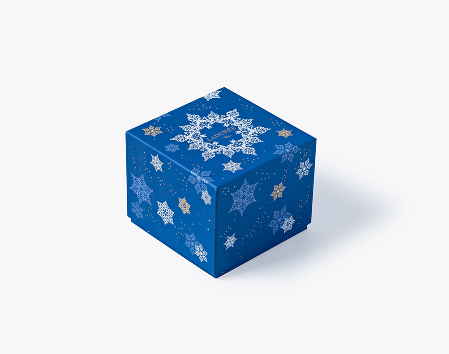 box of 16 macarons christmas gift