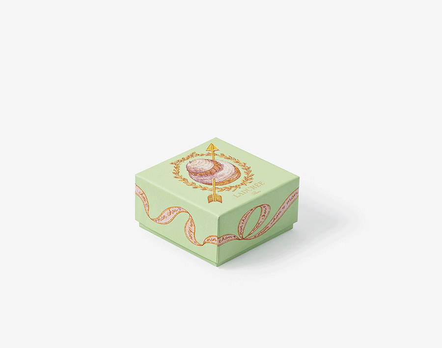 Mon Chou 8 macarons gift box